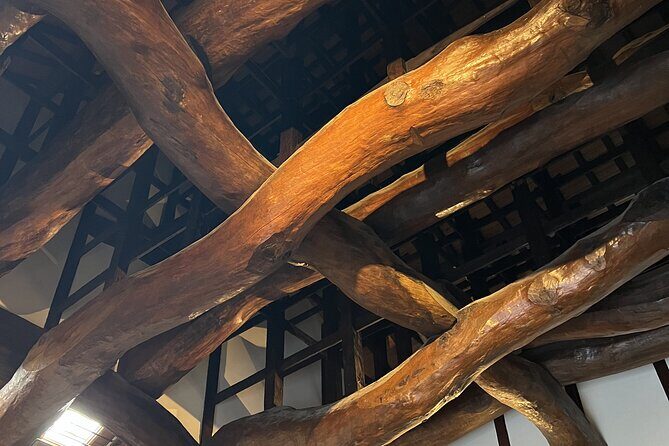 Private Coastline Ebike Tour in Fukuoka - A Detailed Look at the Fukuoka Coastline Ebike Tour