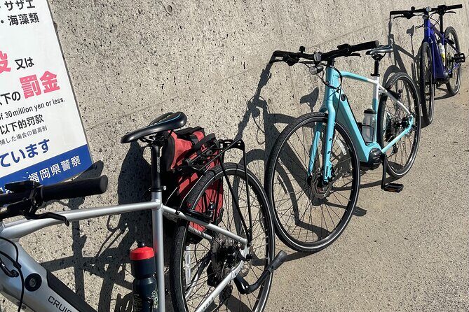 Private Coastline Ebike Tour in Fukuoka - Introduction: Why This E-bike Tour Stands Out in Fukuoka