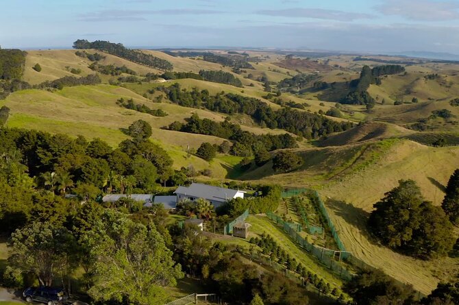 Private Coffee Farm Tour in Doubtless Bay - Whats Included in the Tour