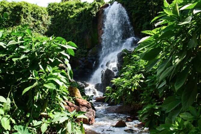 Private Coffee Farm Tour Visit in Nairobi - Pickup Information
