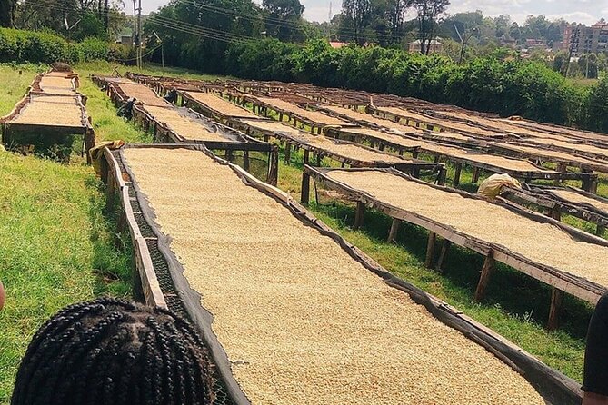 Private Coffee Farm Tour Visit in Nairobi - Confirmation Upon Booking