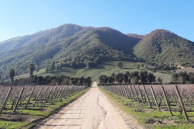 Private Colchagua Valley Wine Tour All Inclusive From Santiago - Tour Overview