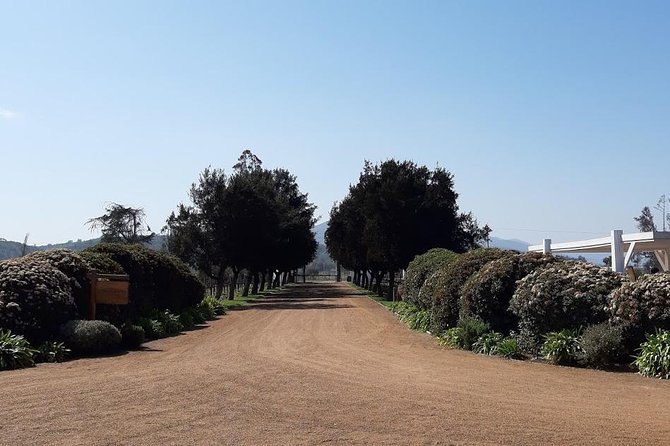 Private Colchagua Valley Wine Tour All Inclusive From Santiago - Directions