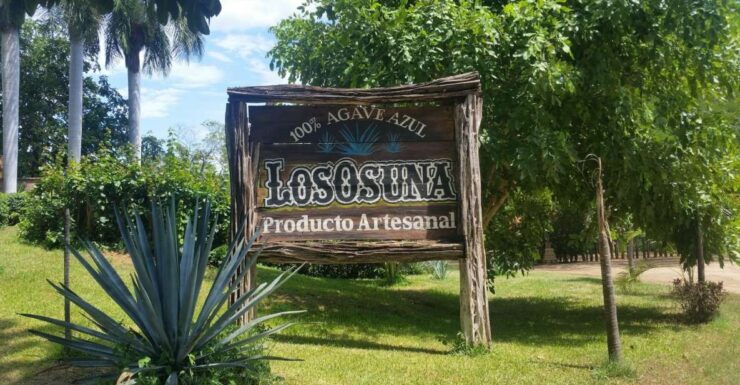 Private Colonial Tour Tequila and the Noria - Tour Experience Highlights