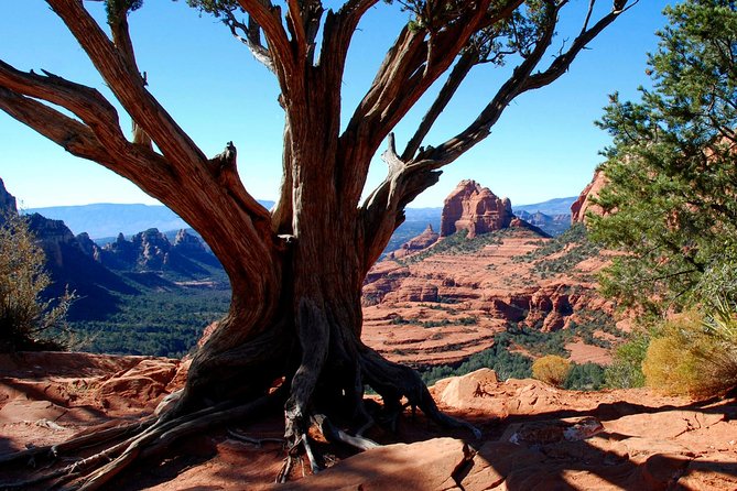 Private Colorado Plateau Jeep Tour From Sedona - Highlights of the Off-Roading Experience