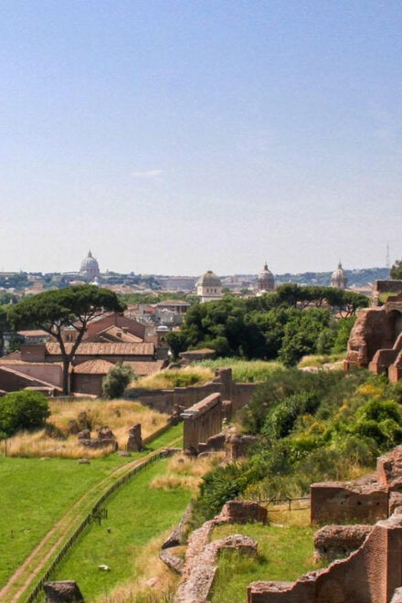 Private Colosseum, Roman Forum, and Palatine Walking Tour - Roman Forum Exploration