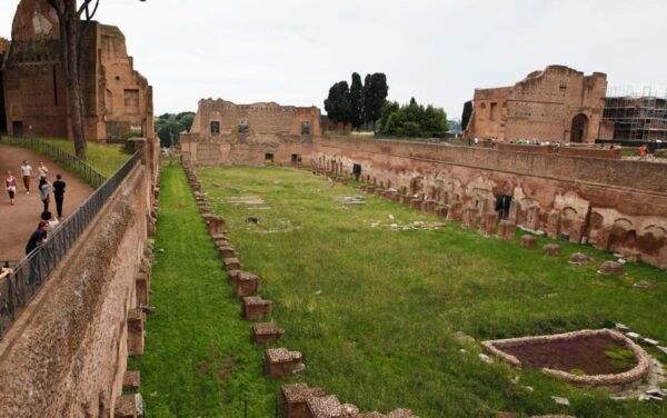 Private Colosseum, Roman Forum, and Palatine Walking Tour - Tour Inclusions