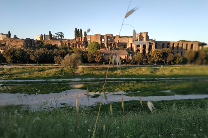 Private Colosseum Roman Forum and Palatine Walking Tour - Meeting/Pickup