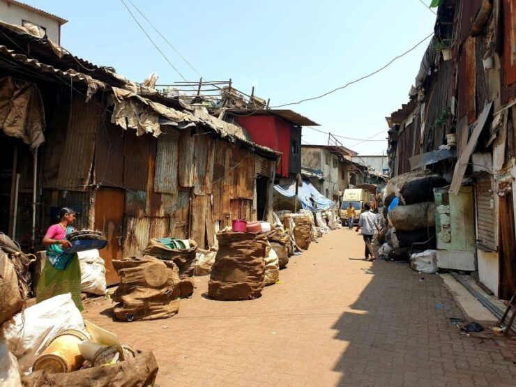 Private Combo Kanheri Caves Tour With Dharavi Slum Tour - Tour Details