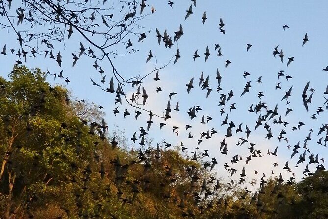 Private Community Tourism Experience in Calakmul - Final Thoughts