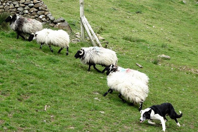 Private Connemara Day Tour - Meeting and Pickup