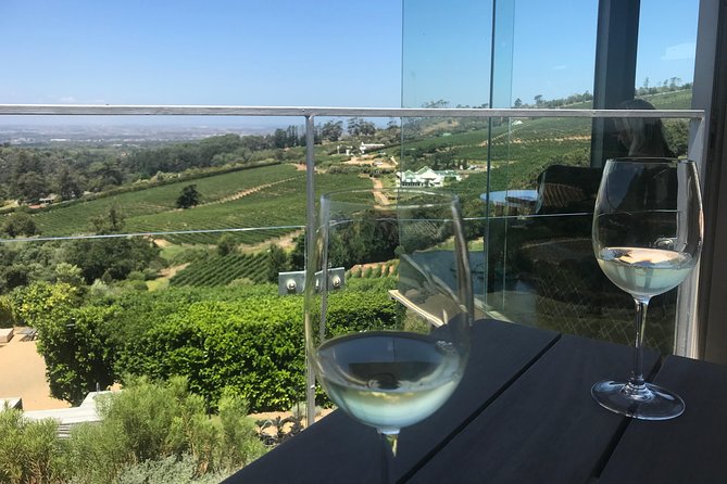 Private Constantia Wine Tour - Wine Selections