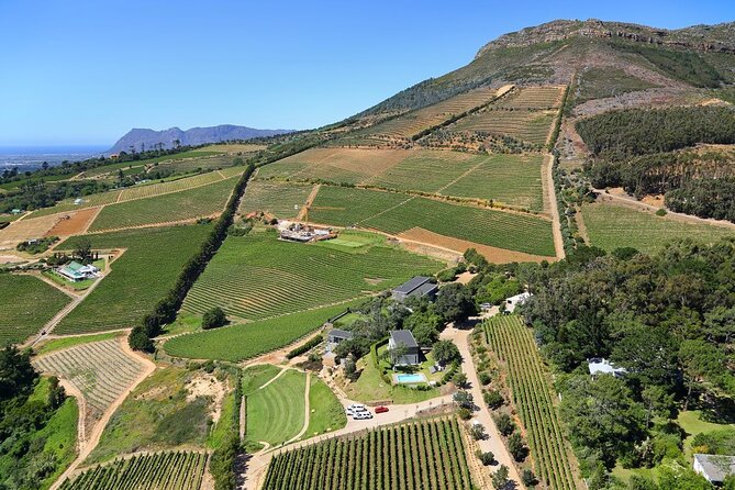 Private Constantia Winelands and Kirstenbosch Luxury Guided Tour - Meeting and Pickup Details