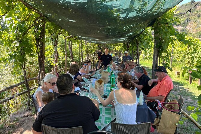 Private Conventional and Natural Winery Tasting Tour With Sommelier and Transfer - Booking Information