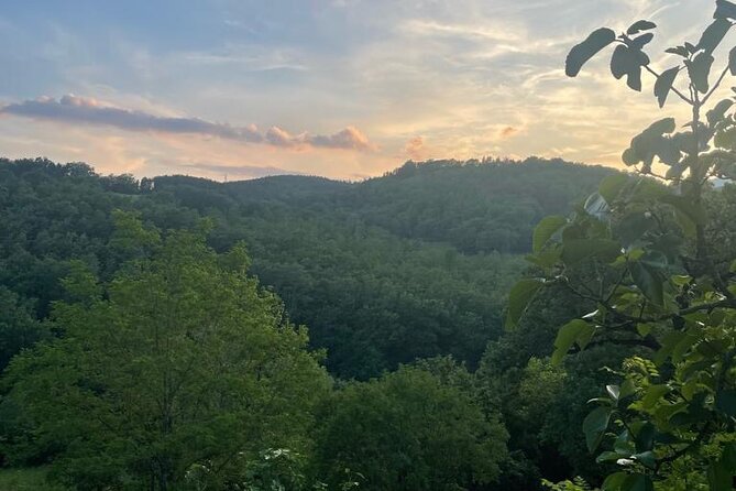 Private Cooking Class for Pasta Lovers in Florence Country House - Inclusions and Exclusions