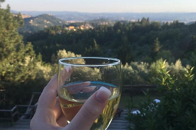 Private Cooking Class in a Florentine Villa With Transfer - Beautiful Location and Views