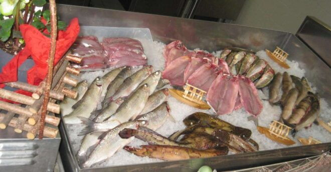 Private Cooking Class With Como - Experience