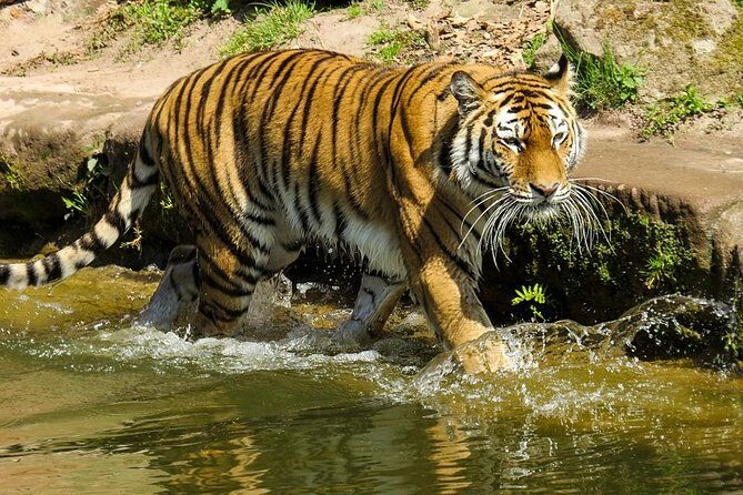 Private Corbett National Park & Nainital Tour from New Delhi - An In-Depth Look at the Tour Itinerary