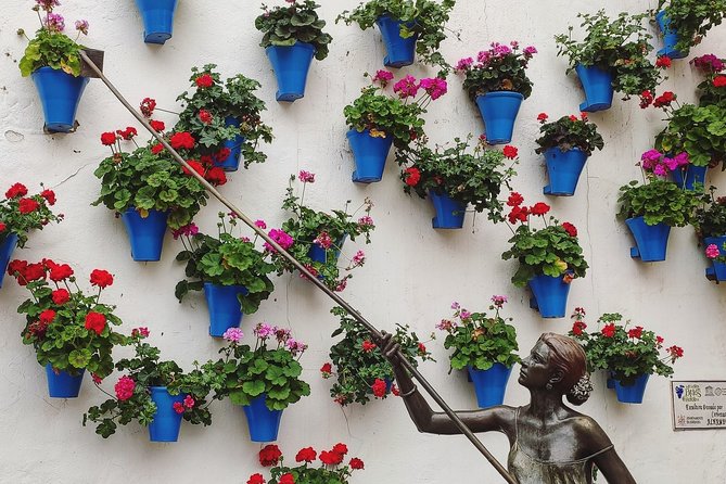 Private Córdoba Highlights Walking Tour - Tour Highlights