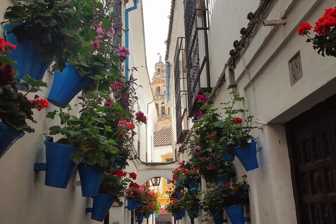 Private Córdoba Highlights Walking Tour - Common Questions