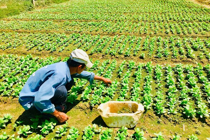 Private Countryside Tour Nha Trang And Visit An Orphanage - Cancellation Policy