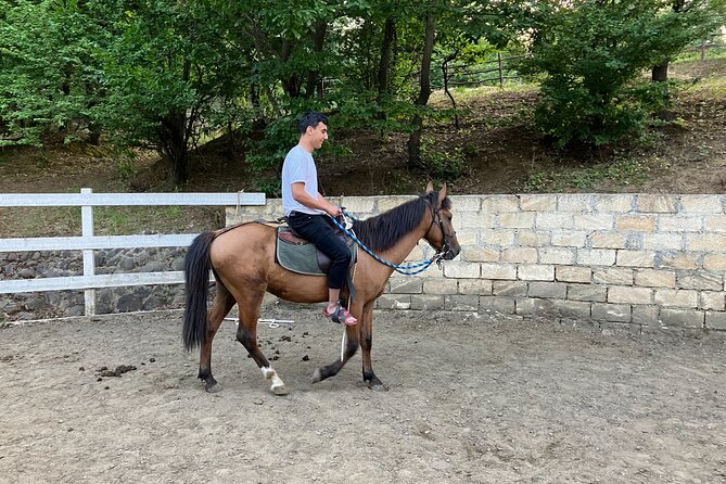 Private Cowboy Roundpen Experience in Azerbaijan - Good To Know