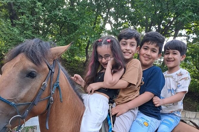 Private Cowboy Roundpen Experience in Azerbaijan - Meeting Point and Start Time