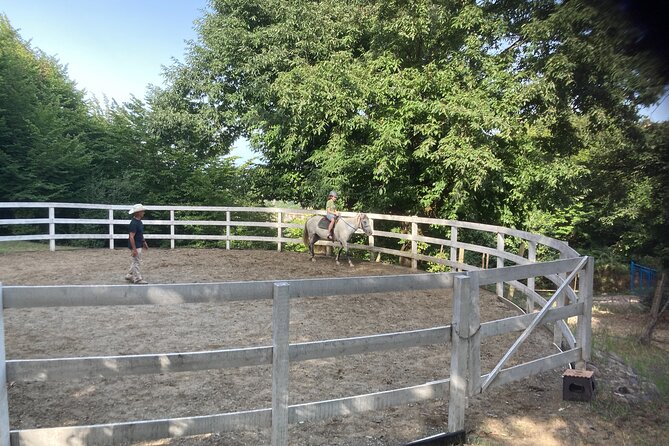 Private Cowboy Roundpen Experience in Azerbaijan - End Point