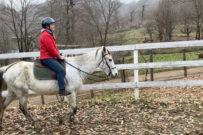 Private Cowboy Roundpen Experience in Azerbaijan - Price Details