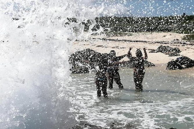 Private Cozumel accesible adventour en silla de ruedas - Practical Aspects: Transportation, Timing, and Recommendations