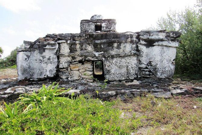 Private cozumel full day adventure - Pricing and value