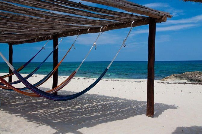 Private cozumel full day adventure - Final thoughts