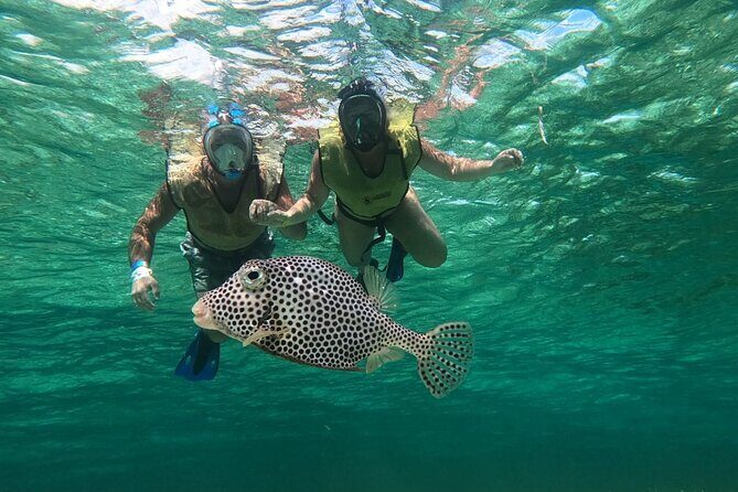 Private Cozumel Jeep and Jade Cavern Cenote Tour - FAQ