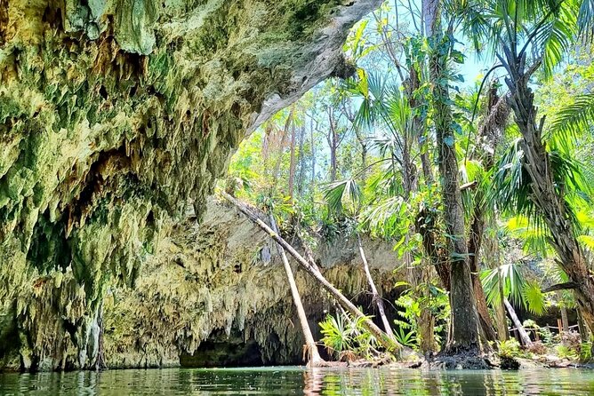 Private Cozumel Jeep Tour & Jade Caverns Cenote: All-Inclusive - Inclusions