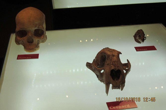 Private Cradle of Human Kind Tour and Lesedi Cultural Village Day Tour - Immersion in South Africas History