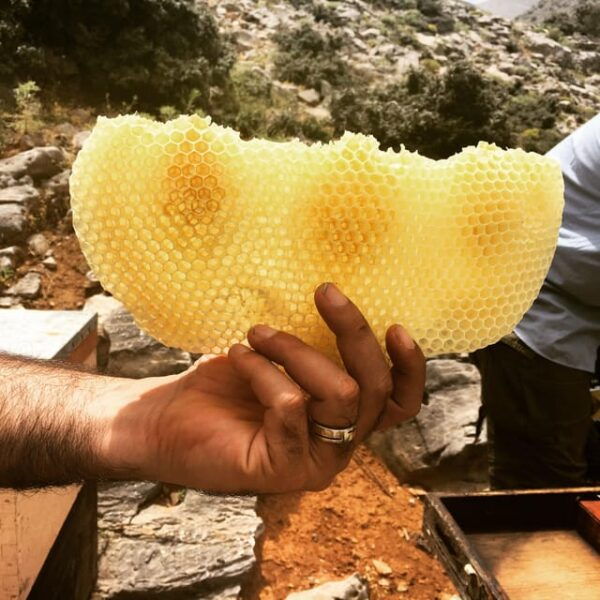 Private Cretan Hills and Villages Tour Inc. Lunch & Wine - Culinary Delights of Crete