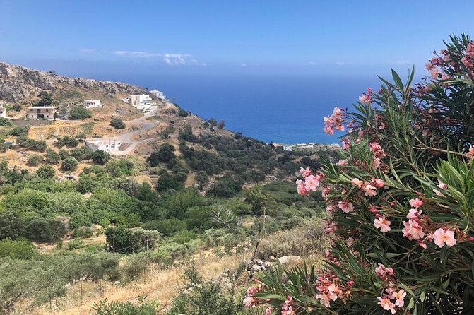 Private Cretan Road Trip - Accommodation and Dining Options