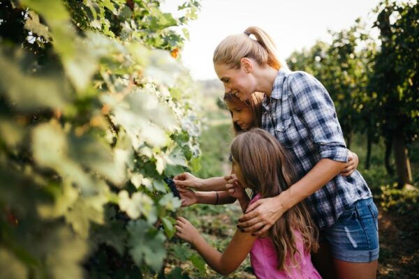 Private Crete Gods & Stargazing Tour Inc. Diner & Wine - Stargazing Experience