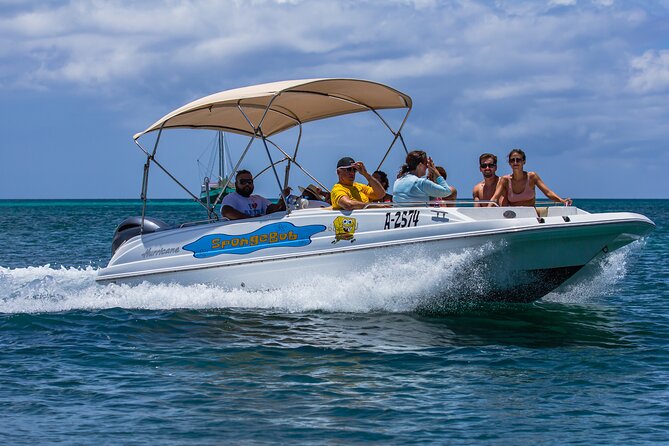 Private Cruise Along the Aruba Coast Line With Snorkeling - Overview of the Private Cruise