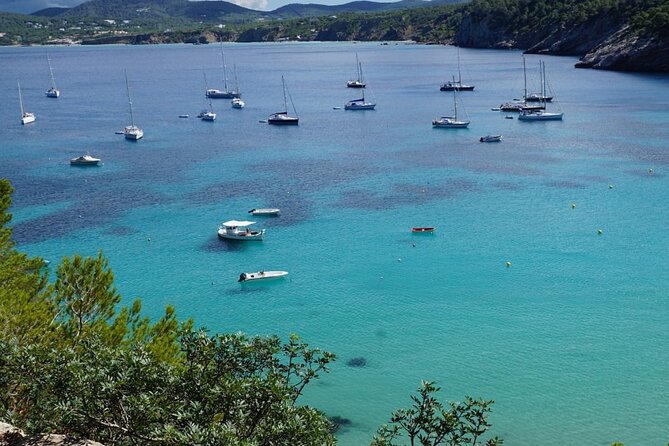 Private Cruise Athens With Swimming Stops at Athenian Riviera - Booking Information and Pricing