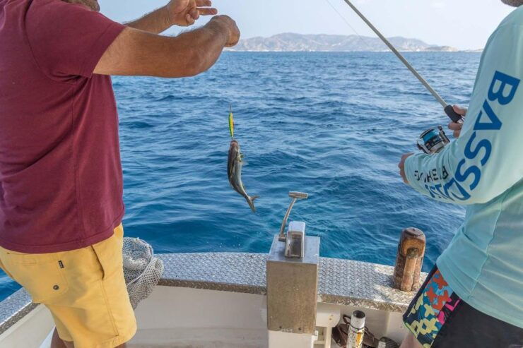 Private Cruise – Half Day Pollonia Polyaigos - Activity Details