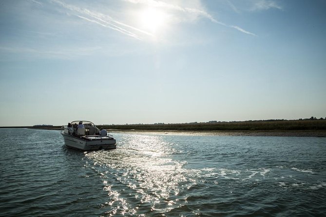 Private Cruise: Murano and Torcello - Frequently Asked Questions