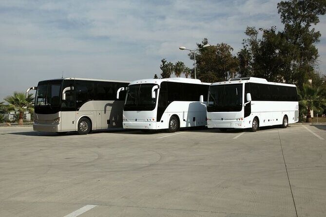 Private Cruise Port Transfer from MIA Airport or Any Miami Hotel - Why Choose This Transfer?