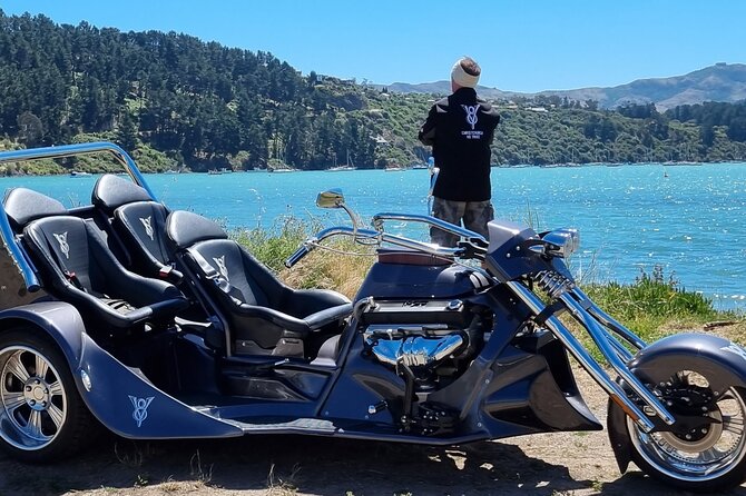 Private Cruise Ship Passengers Tour, Sightseeing in Christchurch - Flexible Itinerary and Timing