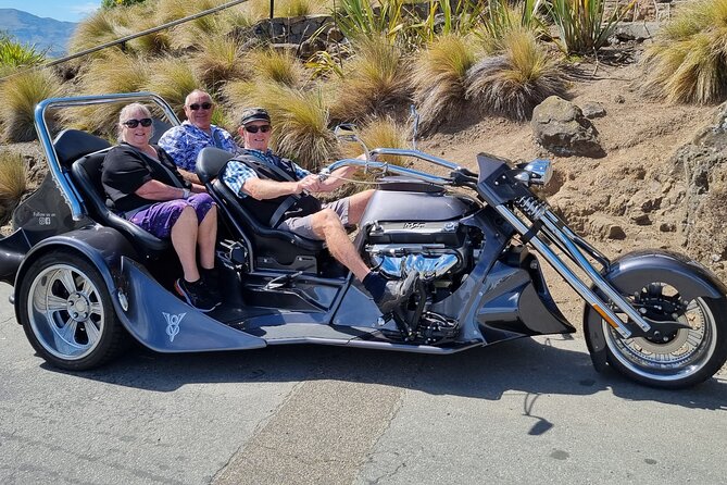 Private Cruise Ship Passengers Tour, Sightseeing in Christchurch - Sightseeing Activities in Christchurch