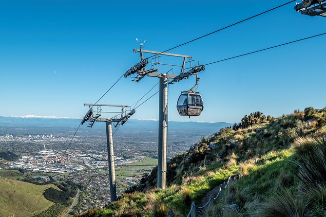 Private Cruise Ship Passengers Tour, Sightseeing in Christchurch - The Sum Up