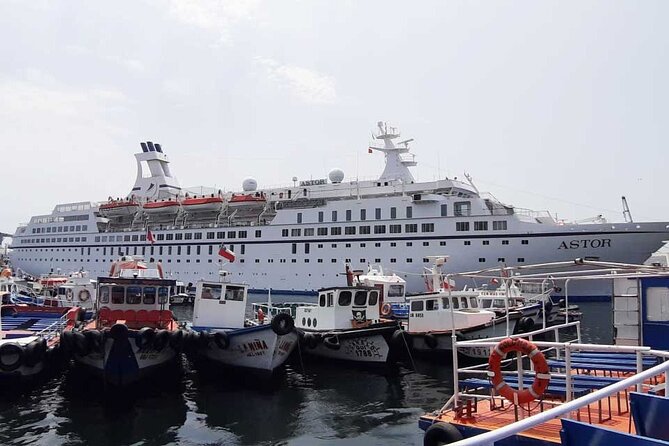 Private Cruise Transfer From Santiago to Ports of Valparaiso or San Antonio - Overview