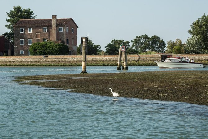 Private Cruise: Venice Unspoiled Lagoon - Island-Hopping Cultural Adventure