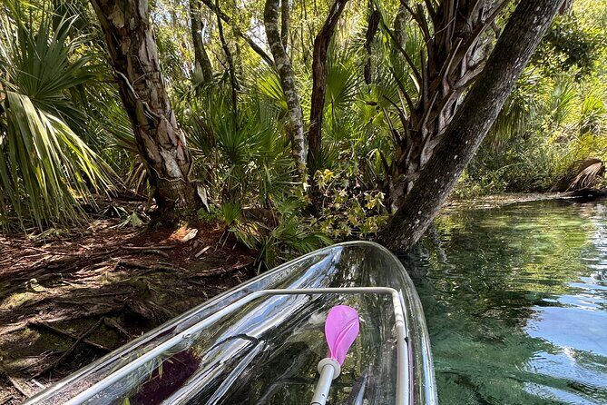 Private Crystal Clear 2 HR Kayak/Paddle Rental on Rainbow River - Good To Know