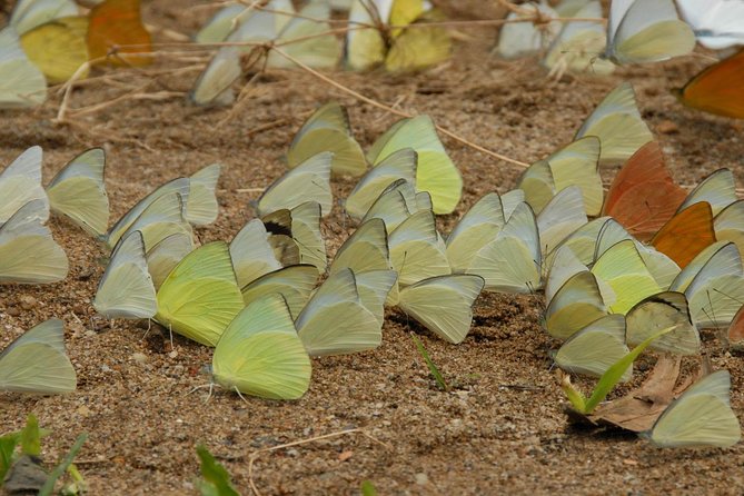 Private Cuc Phuong National Park Day Trip - Overview of the Experience